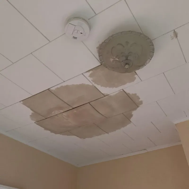 Ceiling Water Damage Repair in Okaloosa County, FL